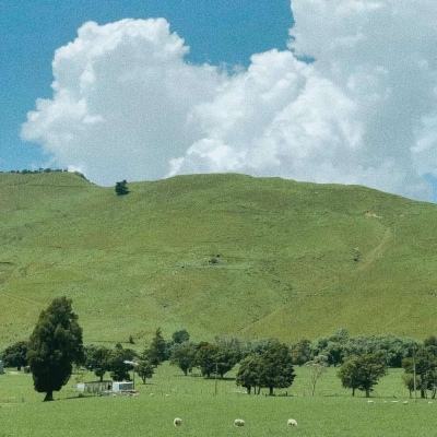 新天地棋牌手机app下载