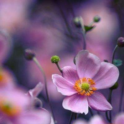 乐发彩票APP下载手机app下载