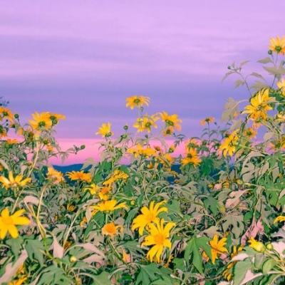 新天地棋牌手机app下载