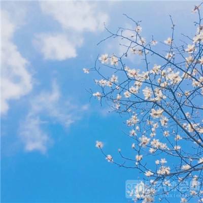 风云体育官方APP网址