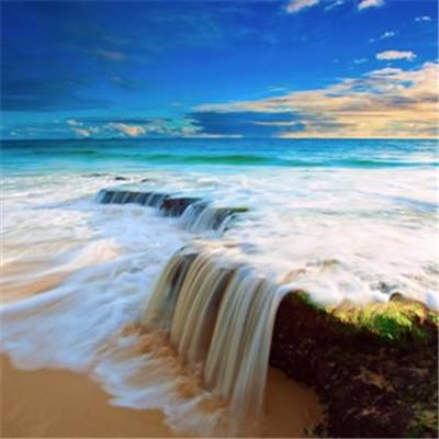 乐鱼app下载手机版