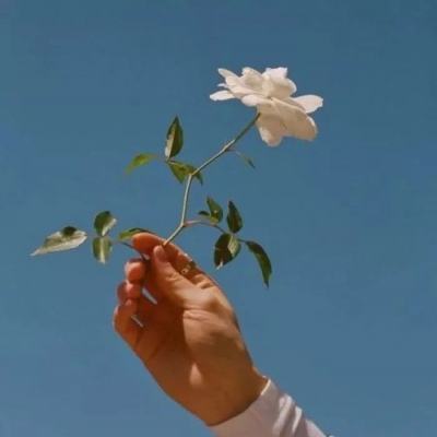 爱游戏app下载手机版