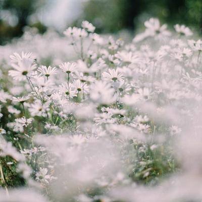 金年会电子游戏app