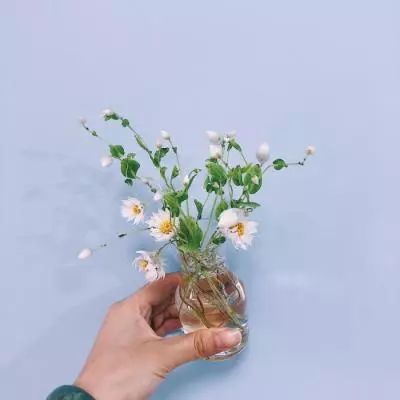 BOB半岛·体育官方平台